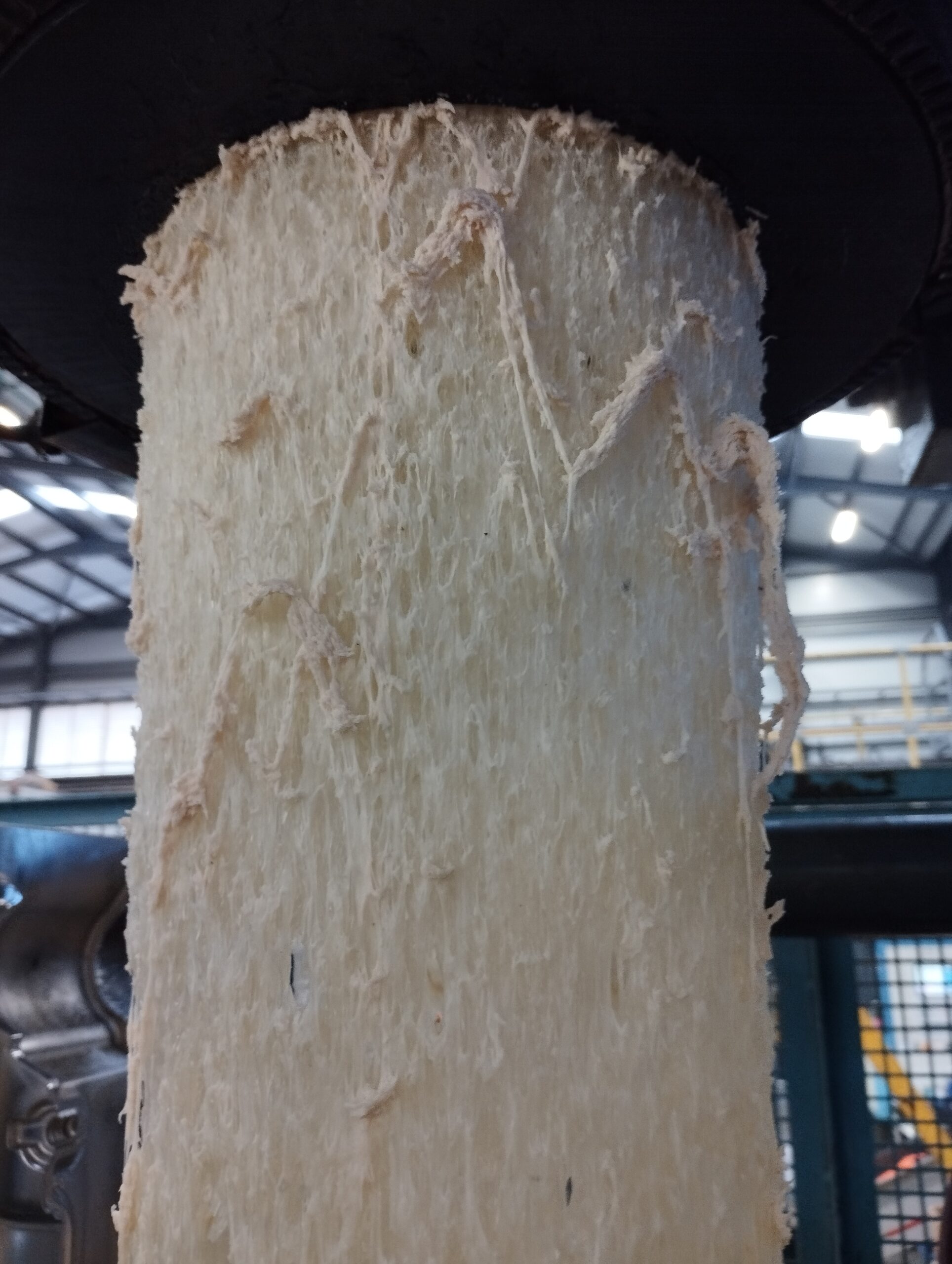 IMG 20250305 100355 scaled